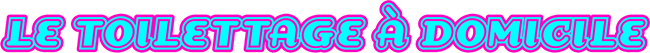 Le toilettage à domicile